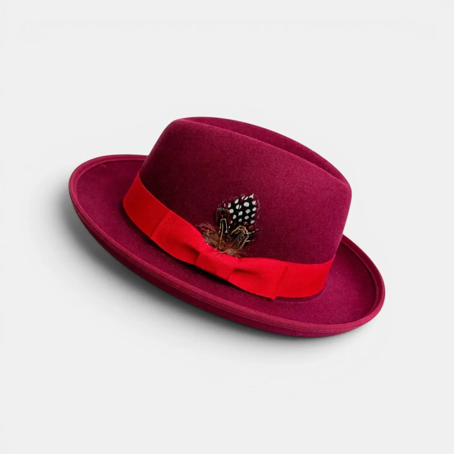 Chapeau Fedora Laine Plume Homme Femme
