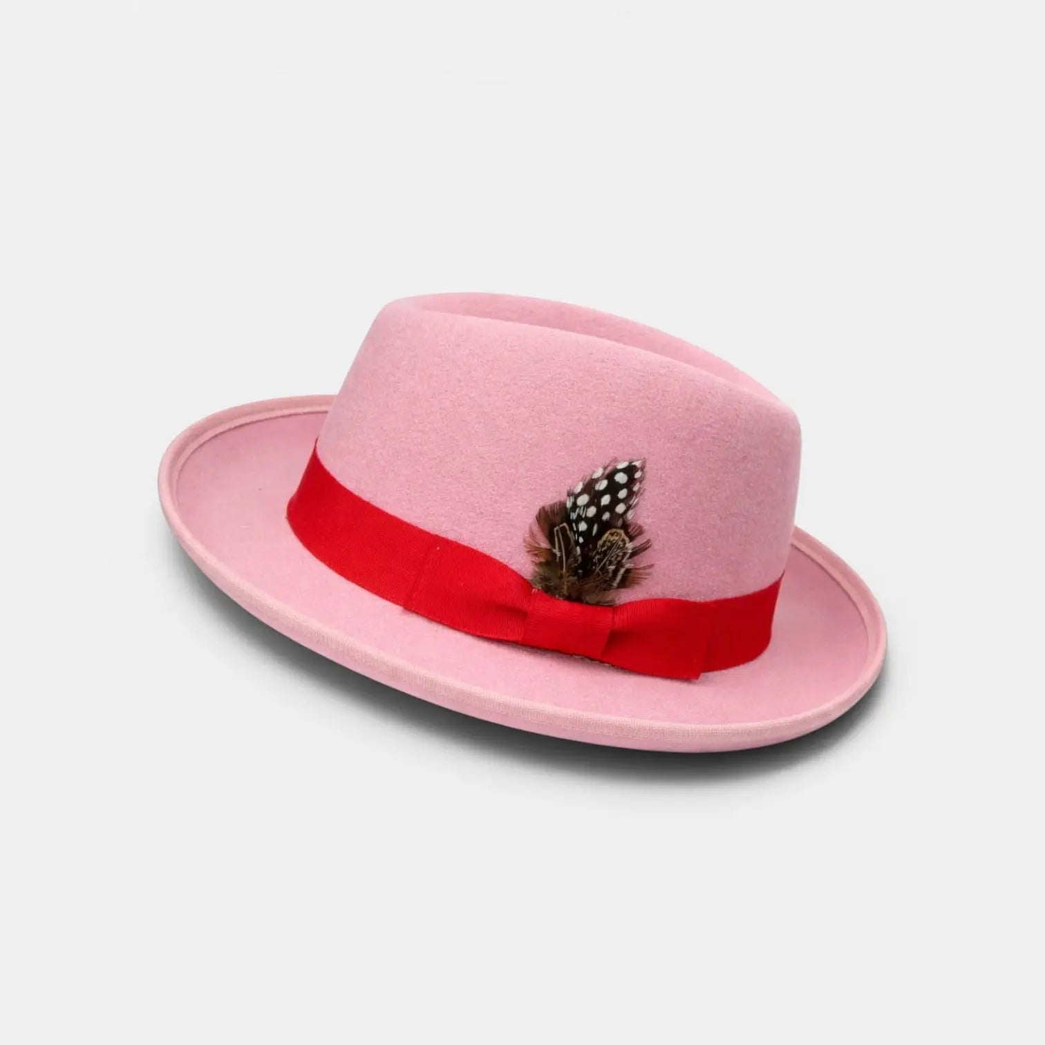 Chapeau Fedora Laine Plume Homme Femme