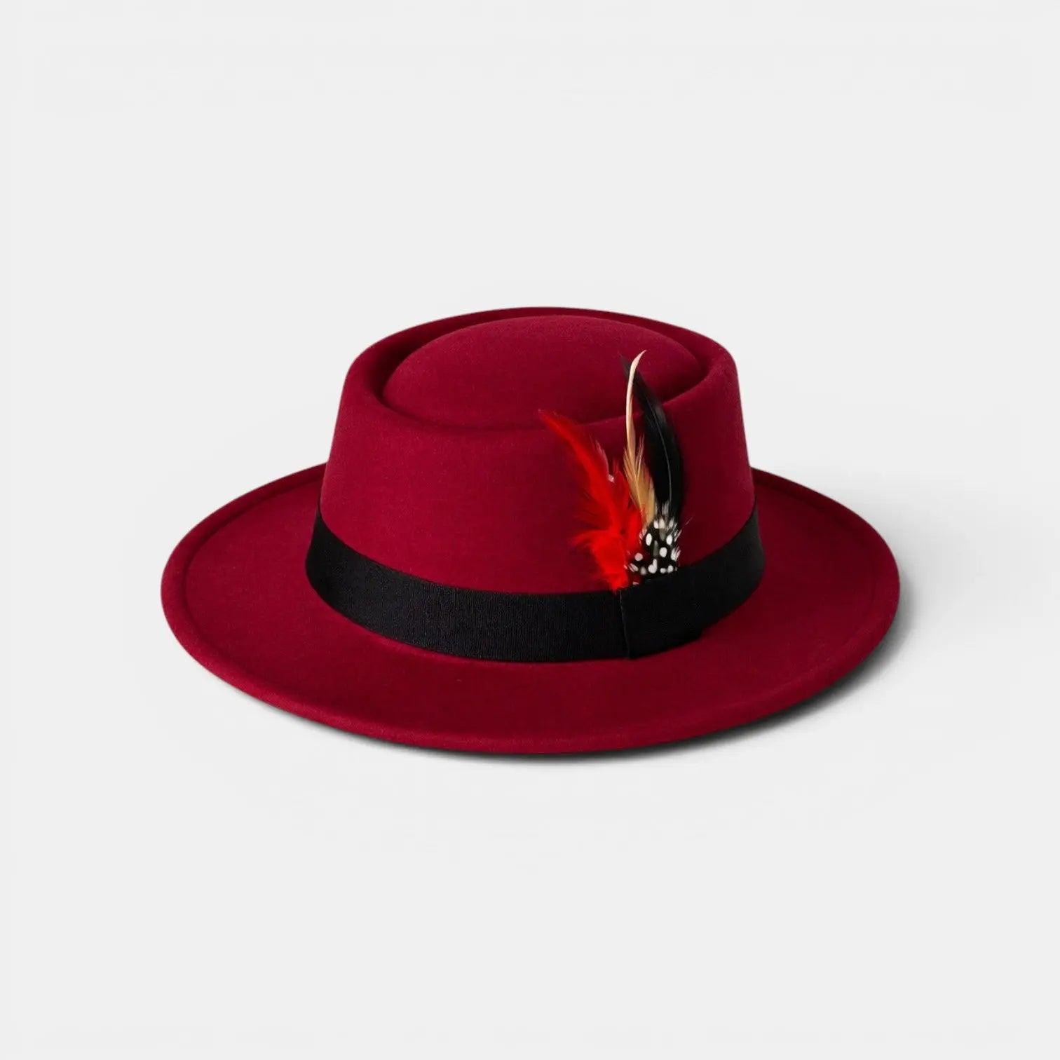 Chapeau Fedora Laine à Plume Unisexe La Boutique du Chapeau