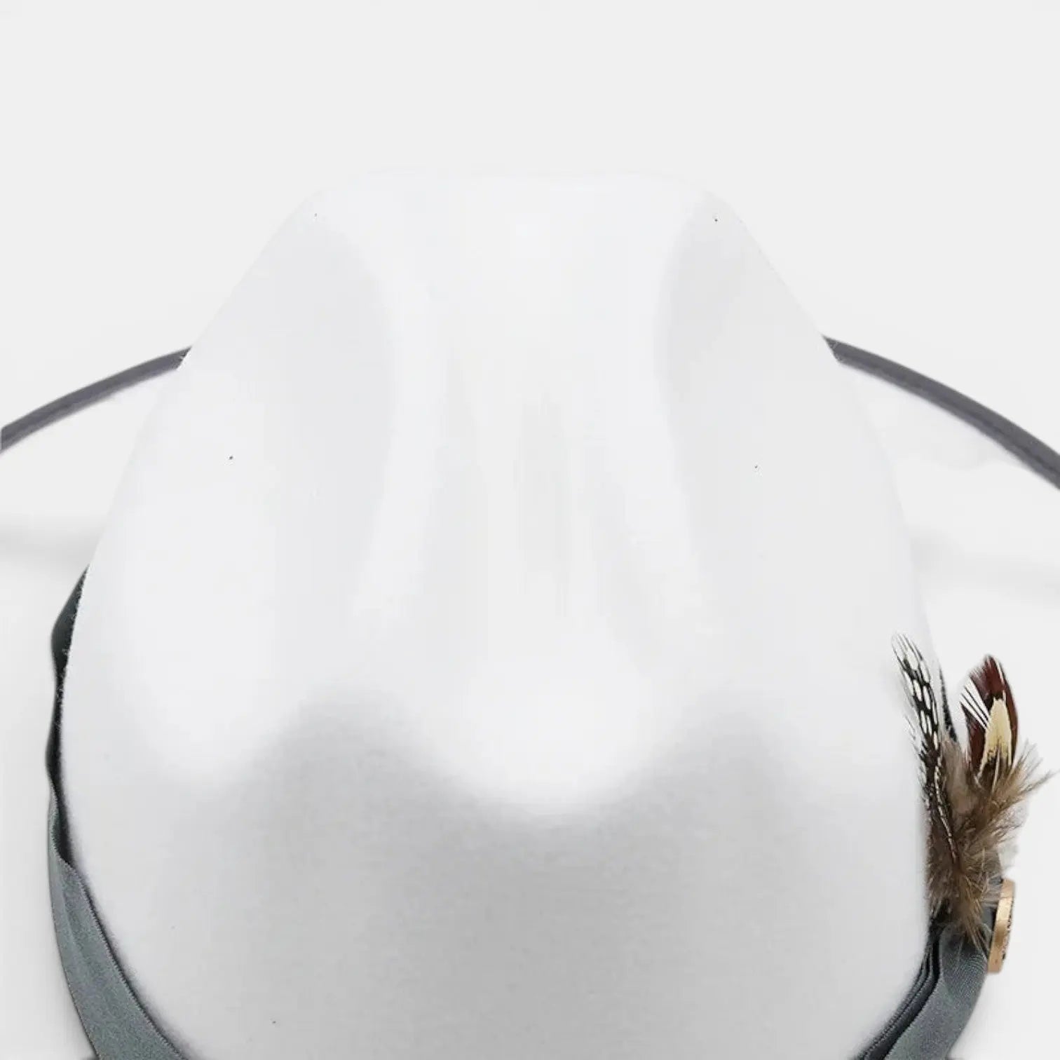 Chapeau Fedora Feutre Bord Large Plumes Homme La Boutique du Chapeau
