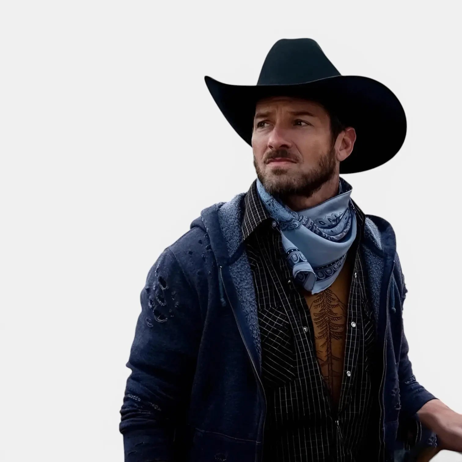 Chapeau Cowboy Feutre Bord Large avec Plumes Unisexe La Boutique du Chapeau