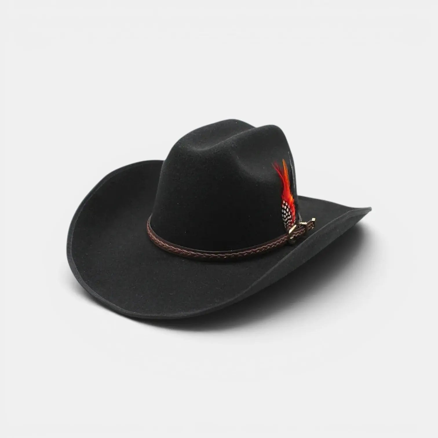 Chapeau Cowboy Feutre Bord Large avec Plumes Unisexe La Boutique du Chapeau
