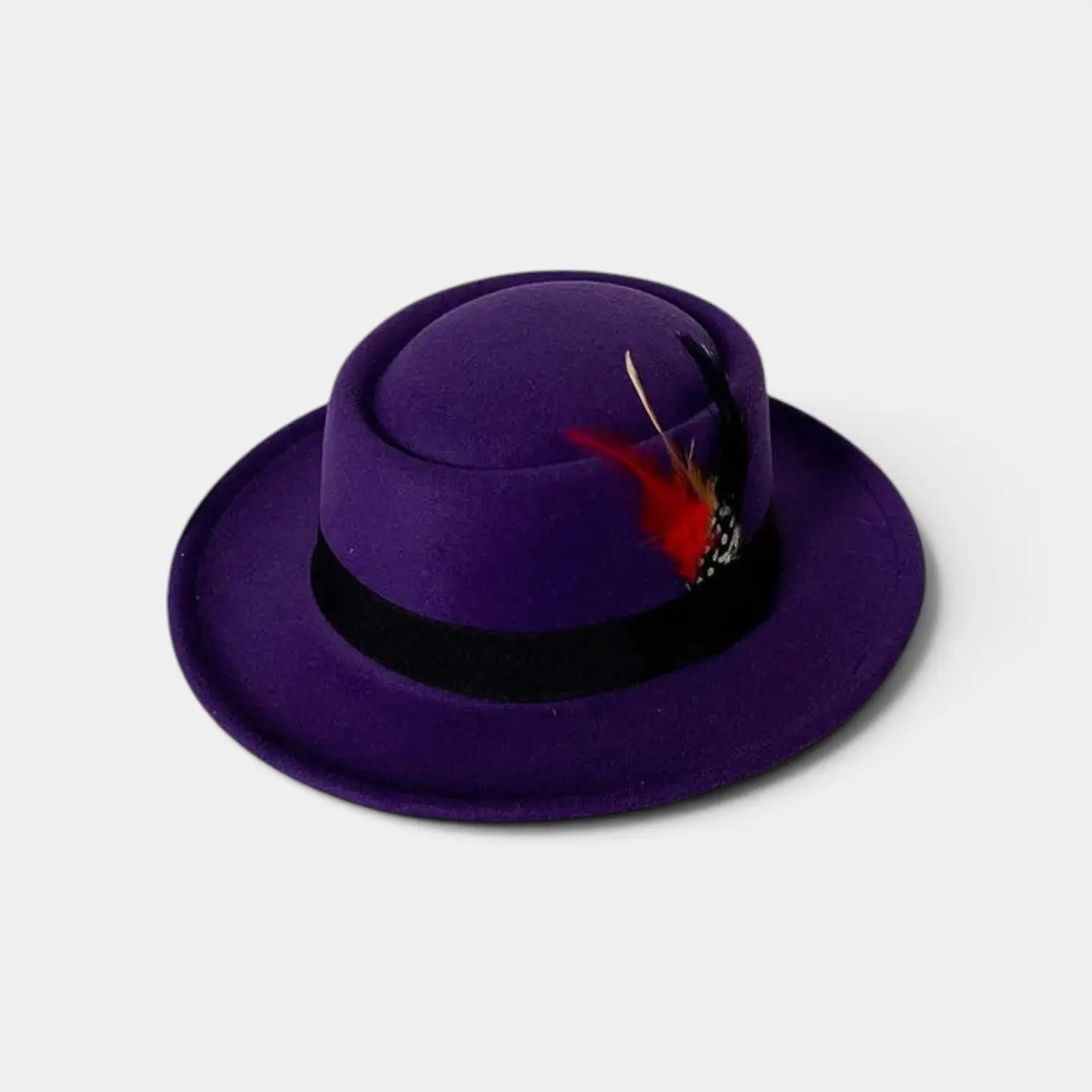 Chapeau Fedora Laine à Plume Unisexe La Boutique du Chapeau
