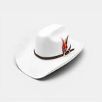 Chapeau Cowboy Feutre Bord Large avec Plumes Unisexe La Boutique du Chapeau